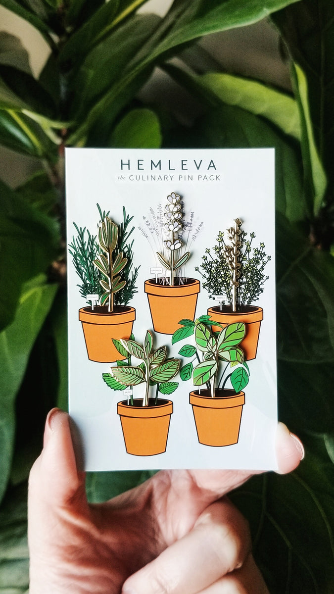 Healing Herbs フラワーエッセンス 木箱入り　ポストカード付 Culinary Herbs Pin Pack – HEMLEVA