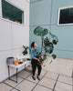 Plant Repotting Services • One day only • 10/4