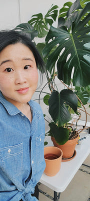 Plant Repotting Services • One day only • 10/4