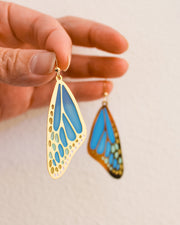 Blue Morphos Wings • Drop Earrings
