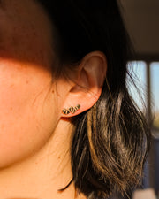 Worm Studs