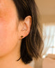 Ginkgo Studs
