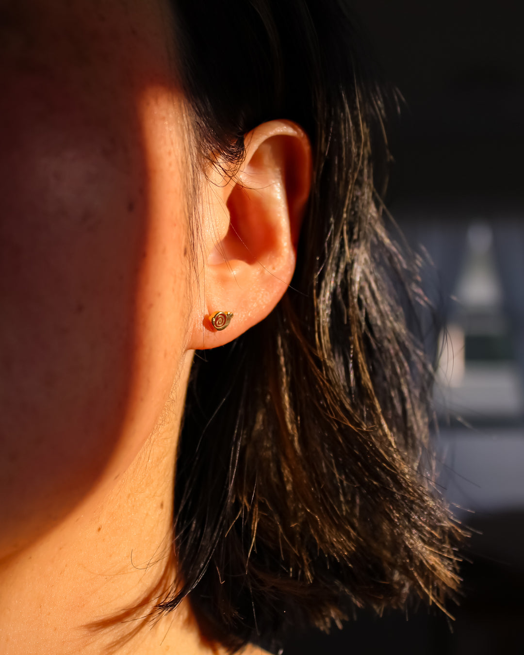 Snail Studs