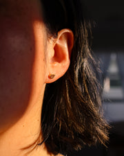 Snail Studs
