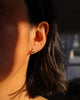 Dragonfly Studs