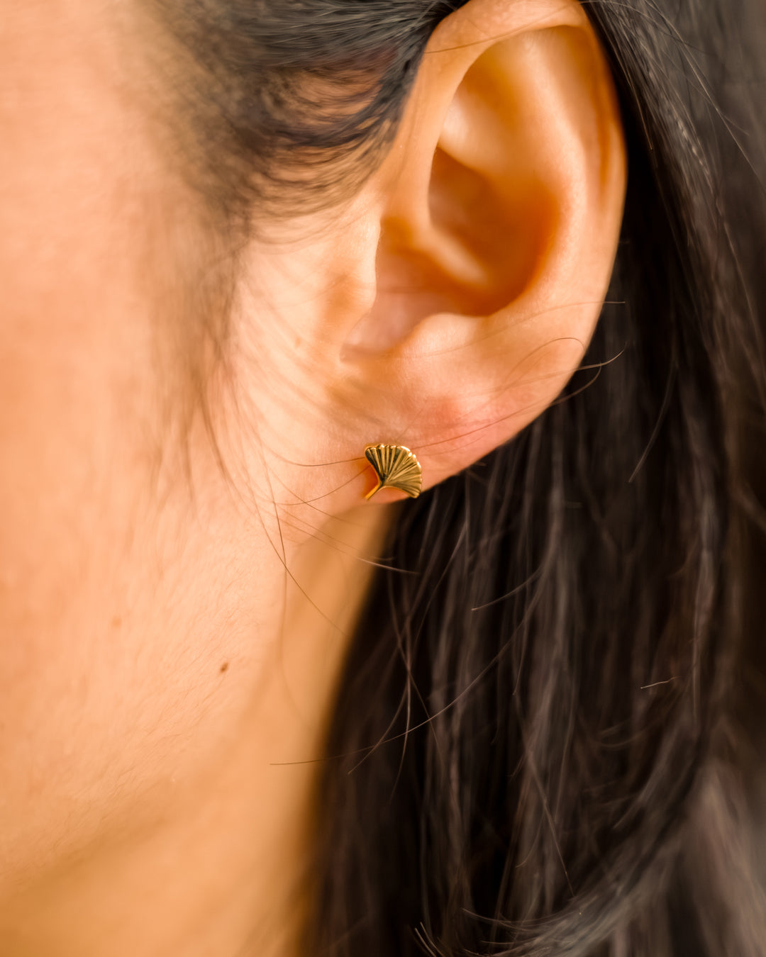 Ginkgo Studs