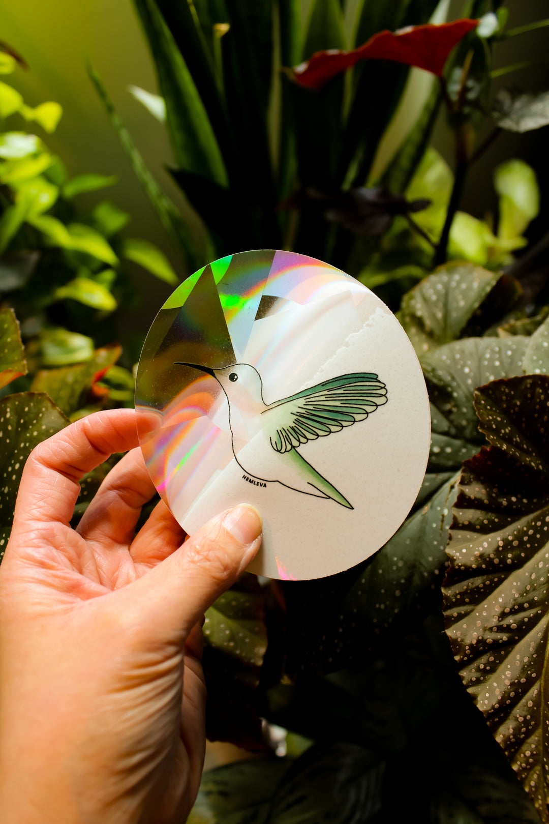 Hummingbird Suncatcher • Medium Sized