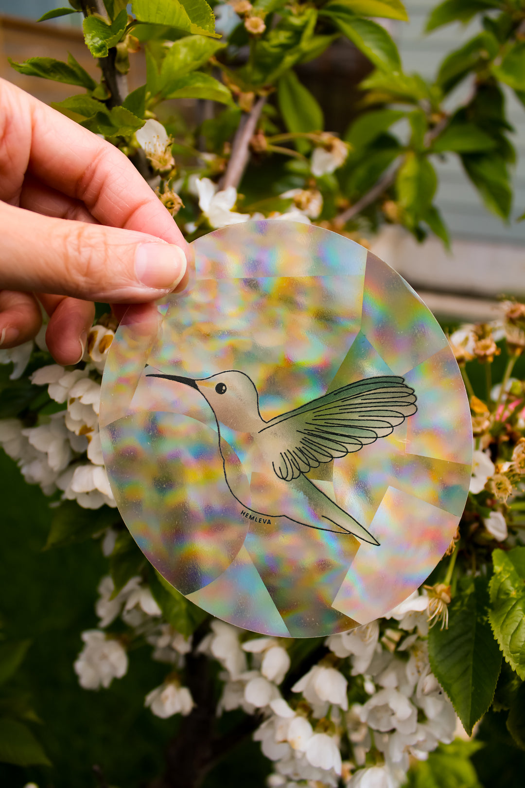Hummingbird Suncatcher • Medium Sized
