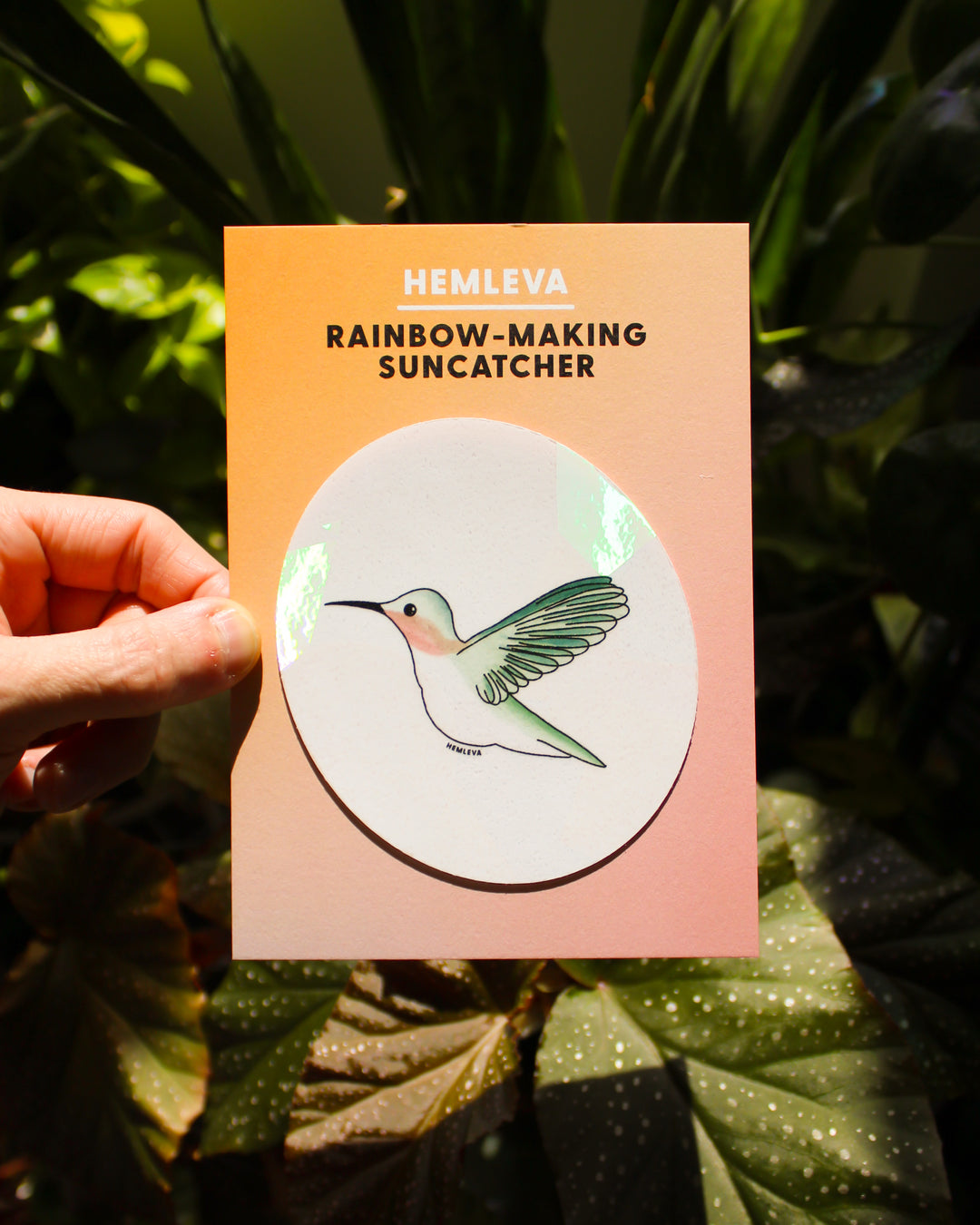 Hummingbird Suncatcher • Medium Sized
