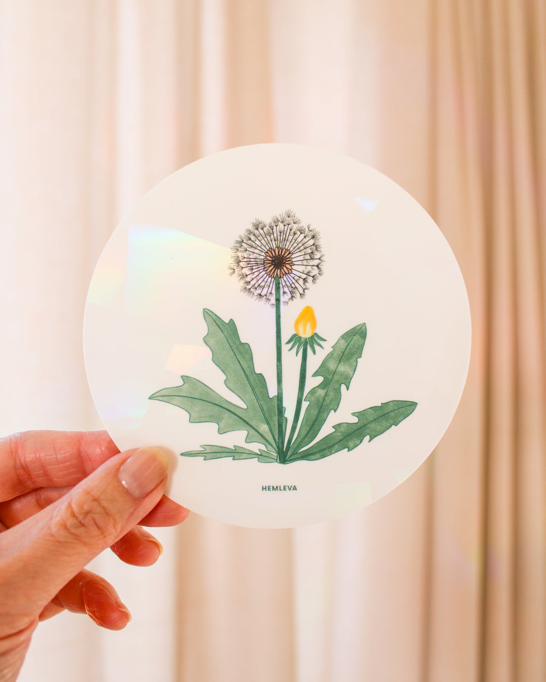 Dandelion Suncatcher • Medium Sized