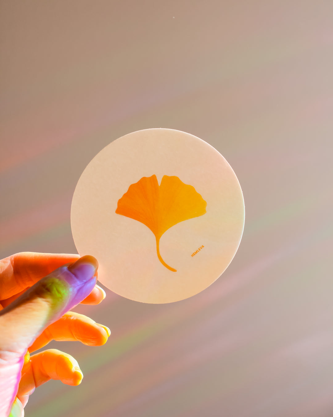 Ginkgo Suncatcher • Card Insert Sized