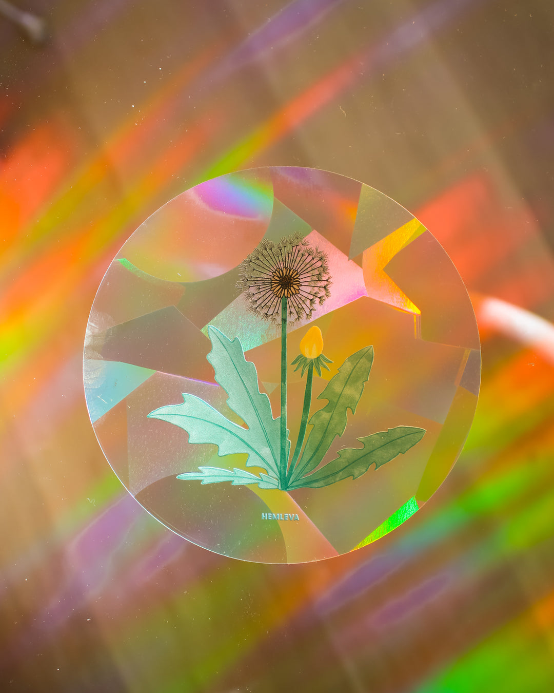 Dandelion Suncatcher • Medium Sized
