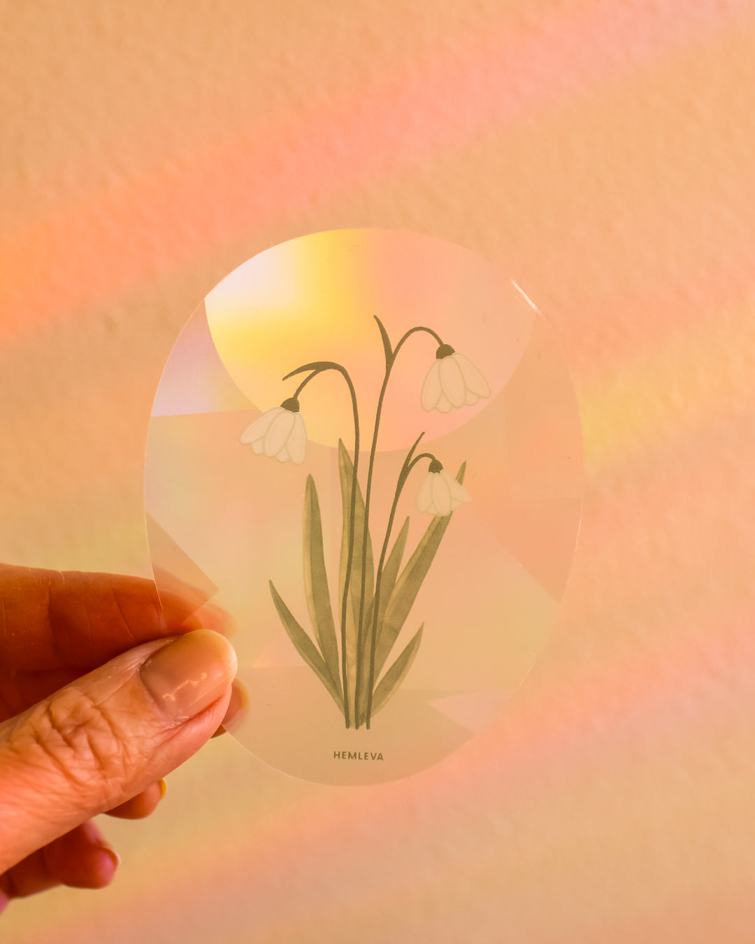 Snowdrop Suncatcher • Card Insert Sized