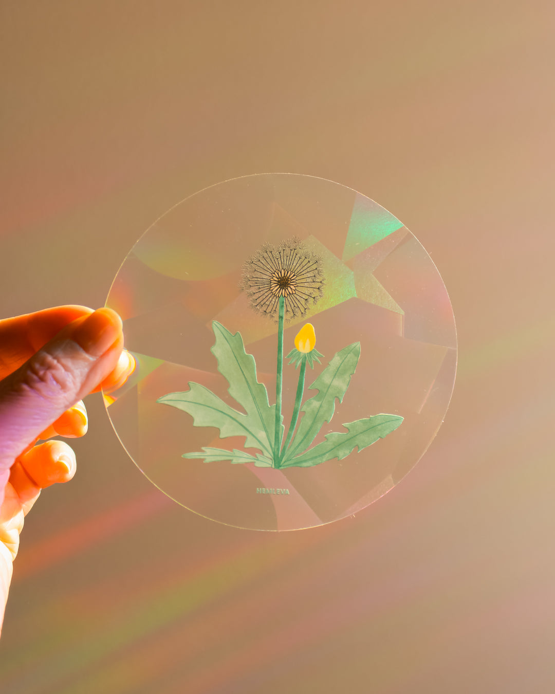 Dandelion Suncatcher • Medium Sized