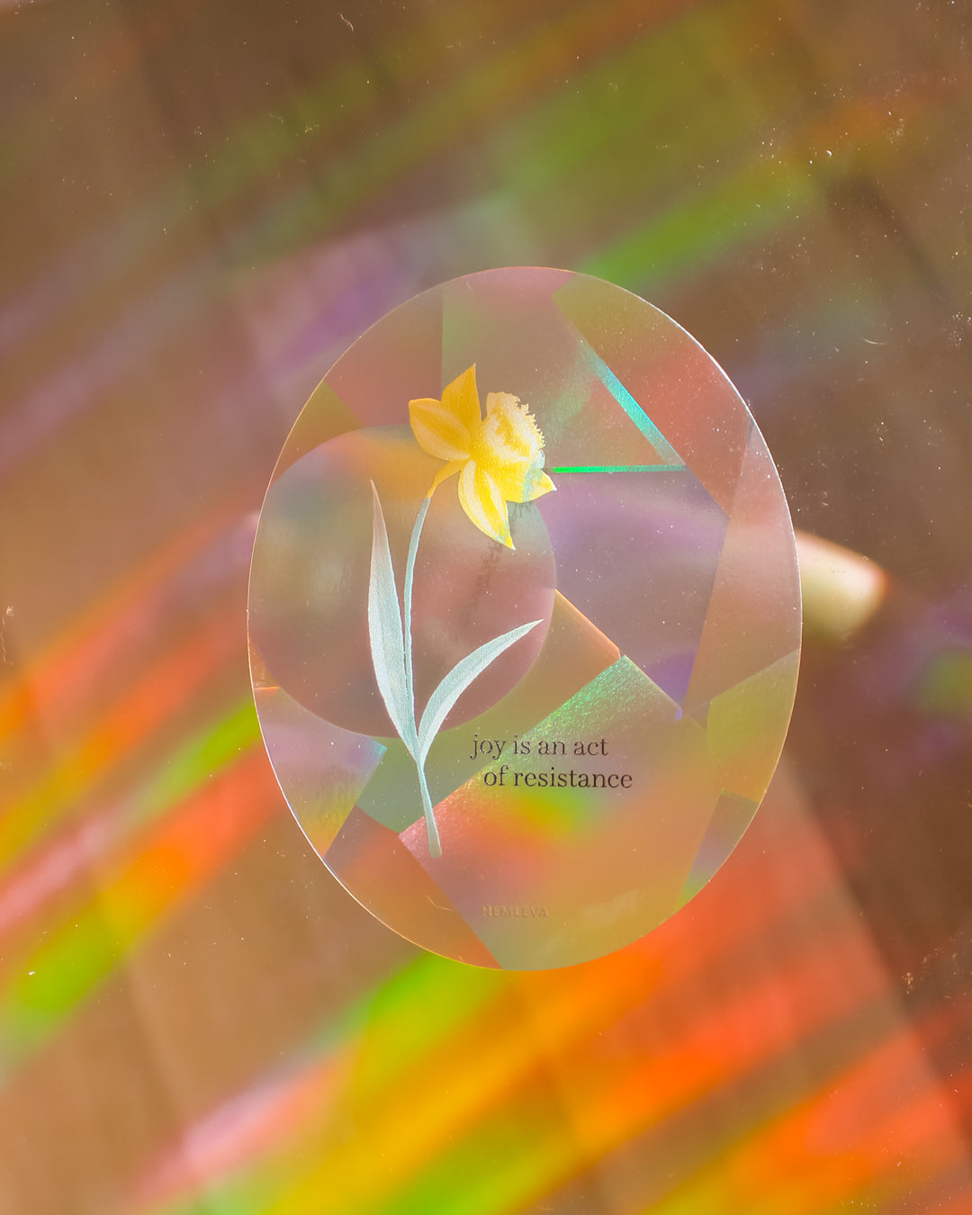 Daffodil Joy Suncatcher • Medium Sized