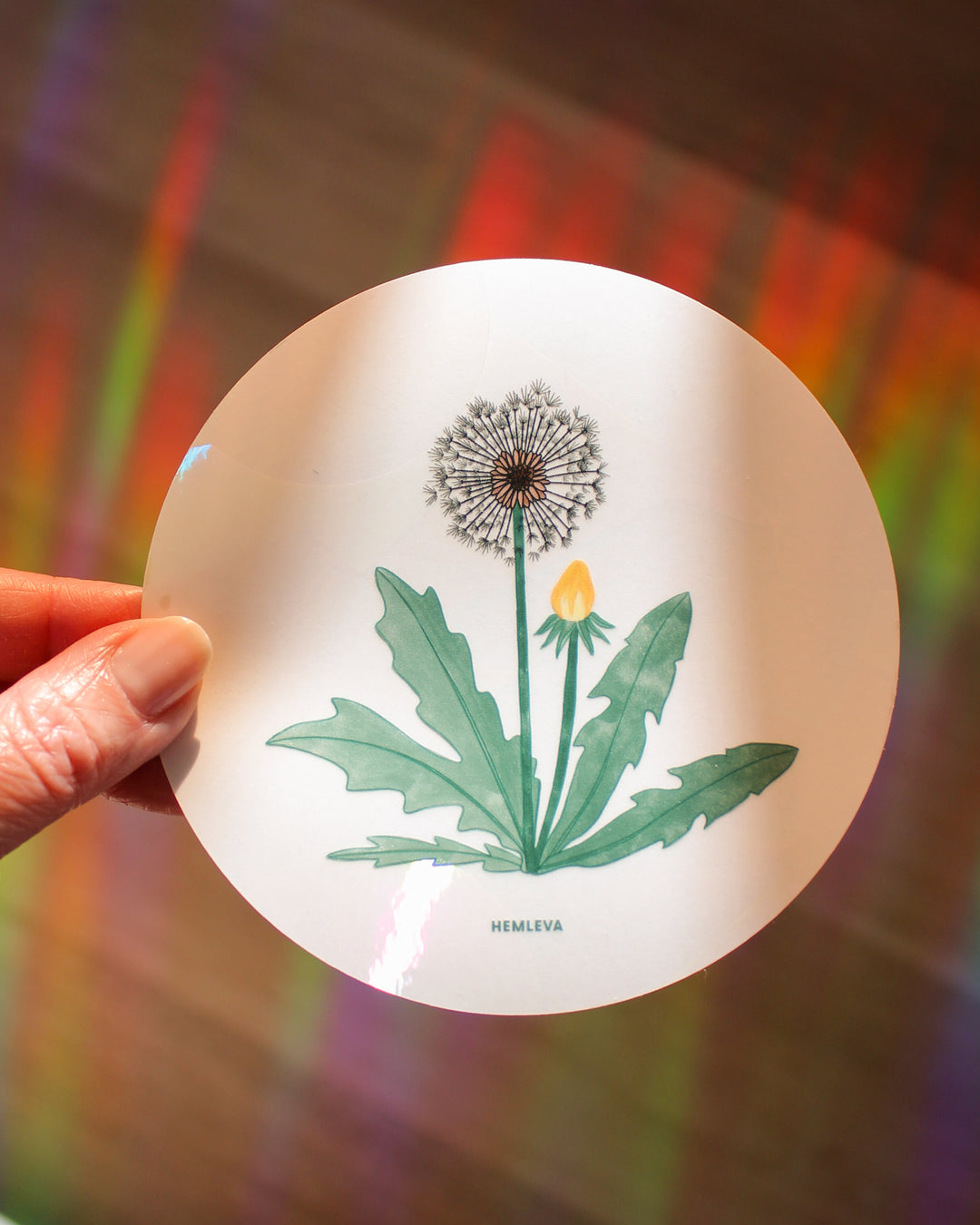 Dandelion Suncatcher • Medium Sized