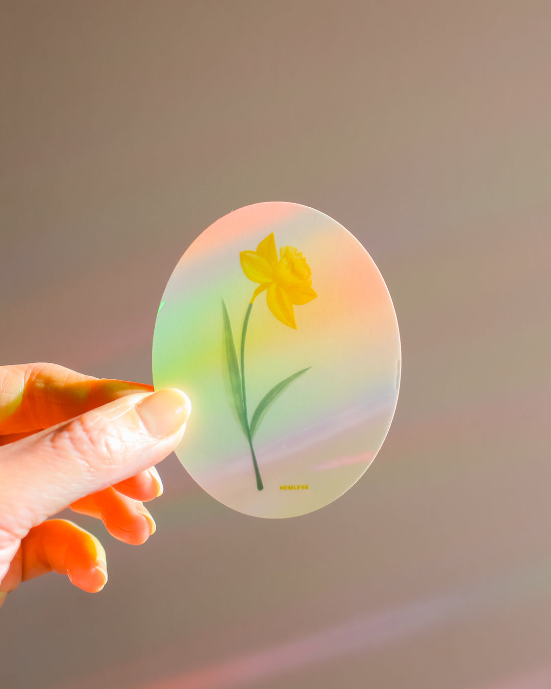 Daffodil Suncatcher • Card Insert Sized