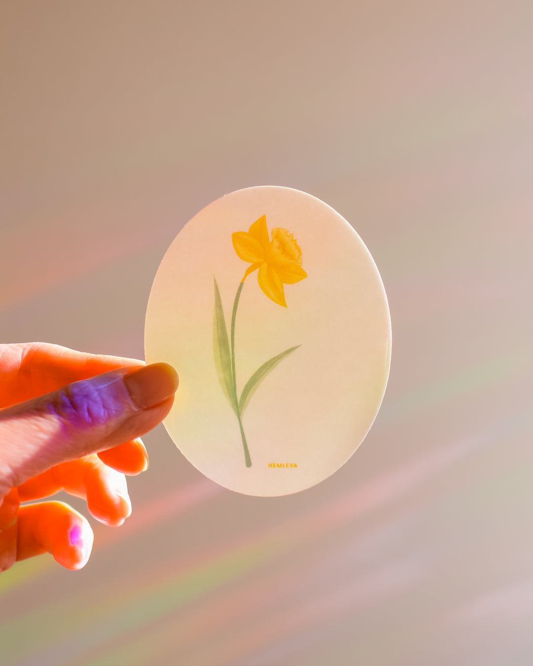 Daffodil Suncatcher • Card Insert Sized