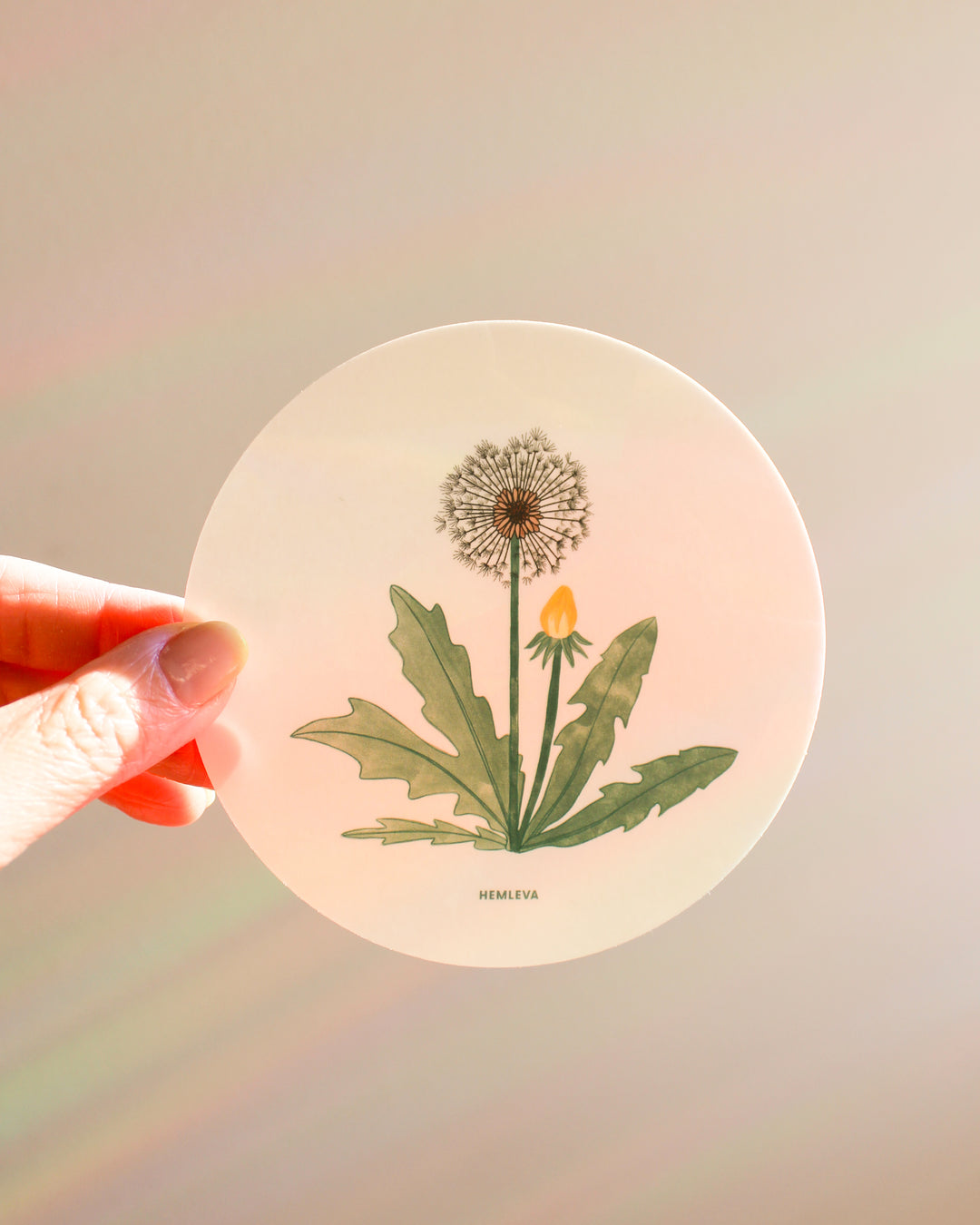 Dandelion Suncatcher • Medium Sized