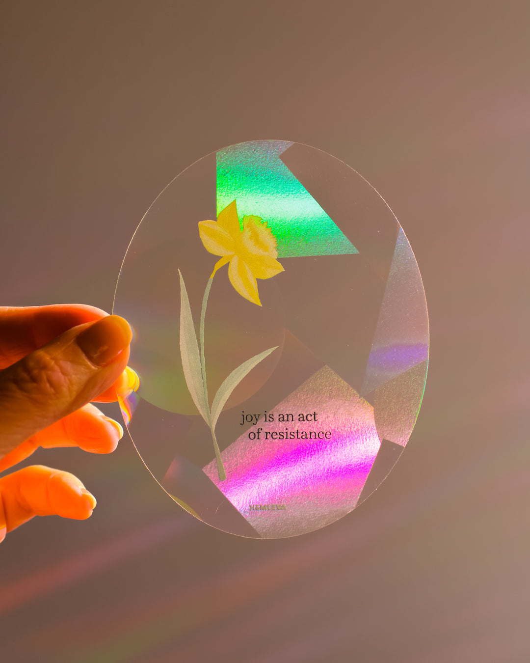 Daffodil Joy Suncatcher • Medium Sized