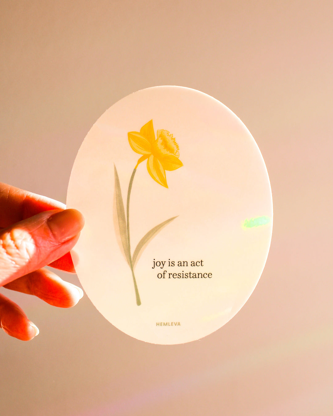 Daffodil Joy Suncatcher • Medium Sized