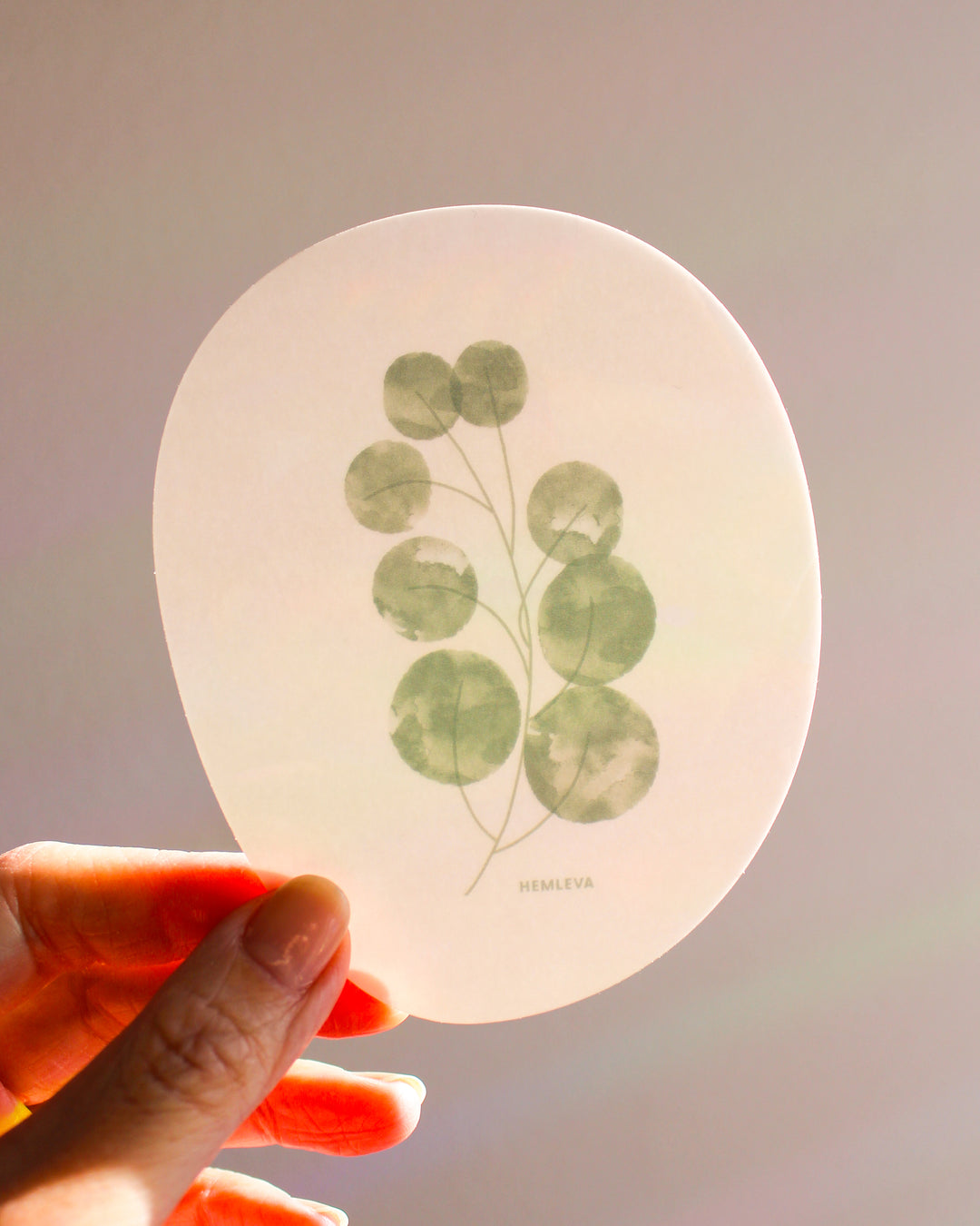 Eucalyptus Suncatcher • Medium Sized