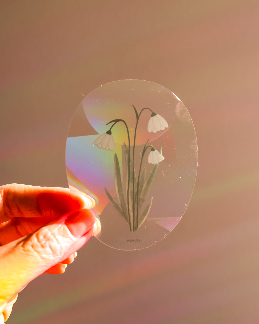 Snowdrop Suncatcher • Card Insert Sized