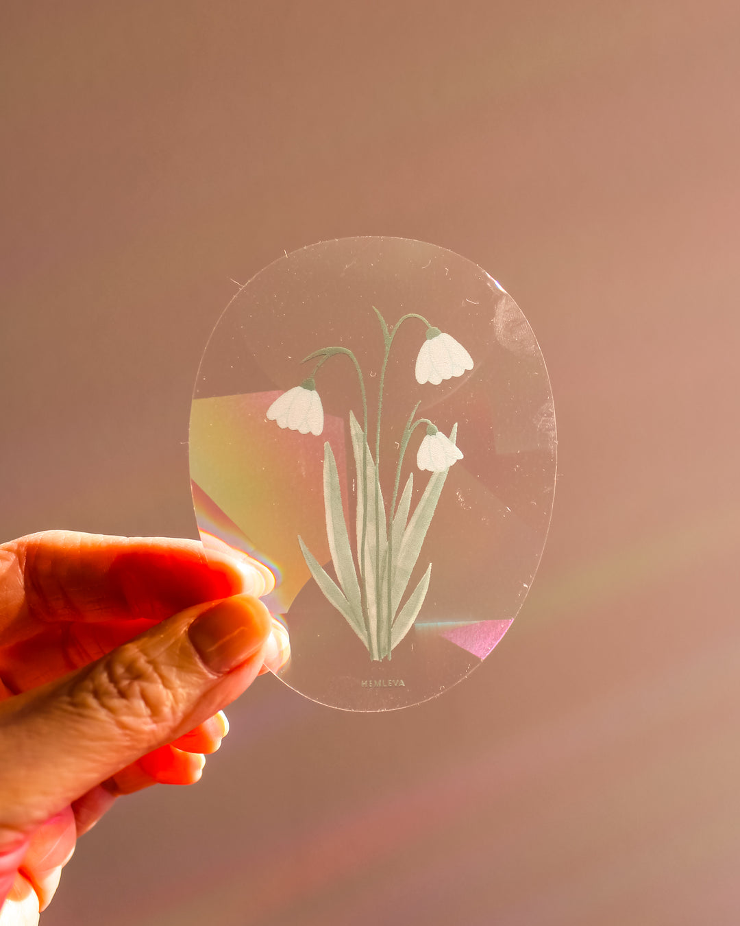 Snowdrop Suncatcher • Card Insert Sized