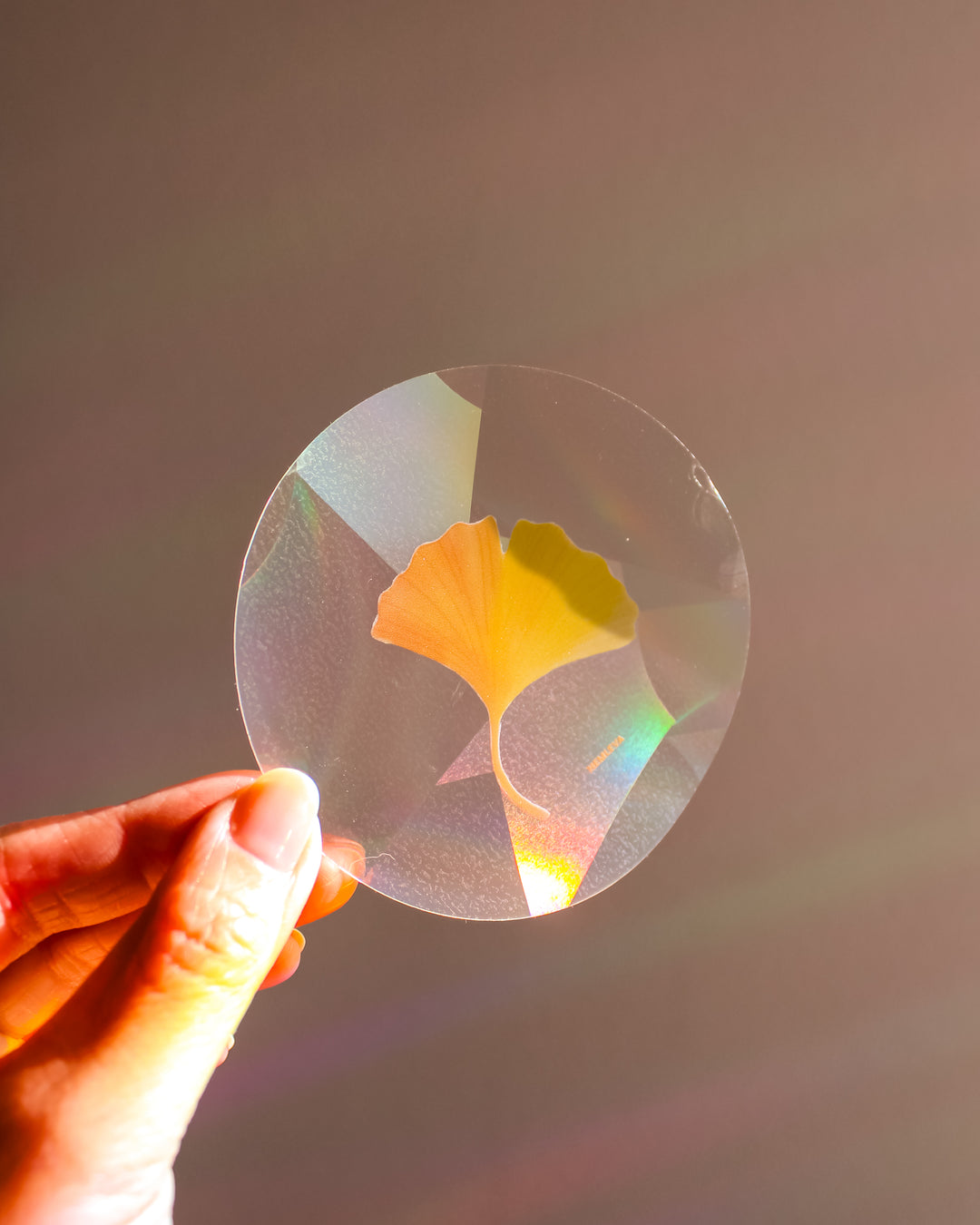 Ginkgo Suncatcher • Card Insert Sized