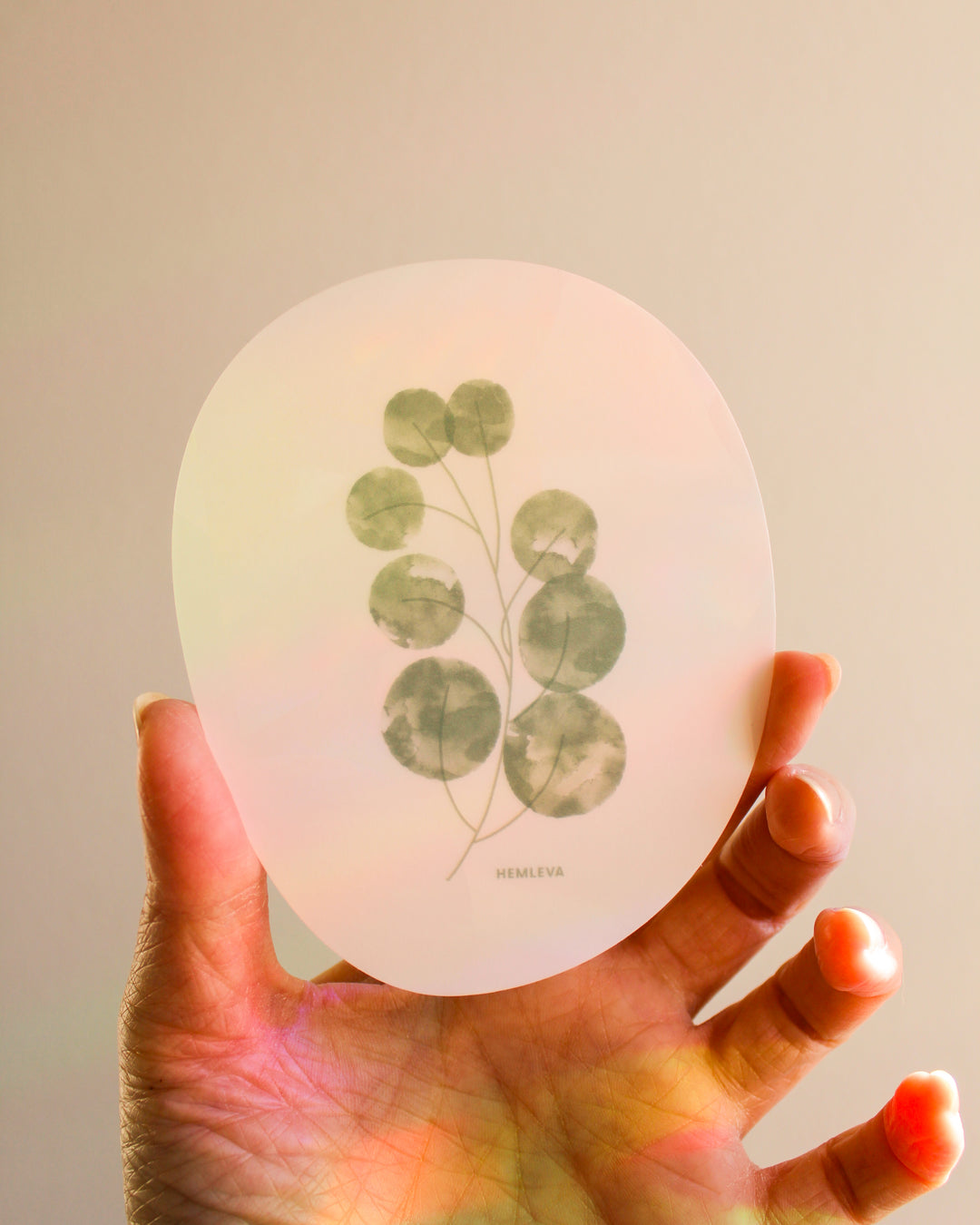 Eucalyptus Suncatcher • Medium Sized
