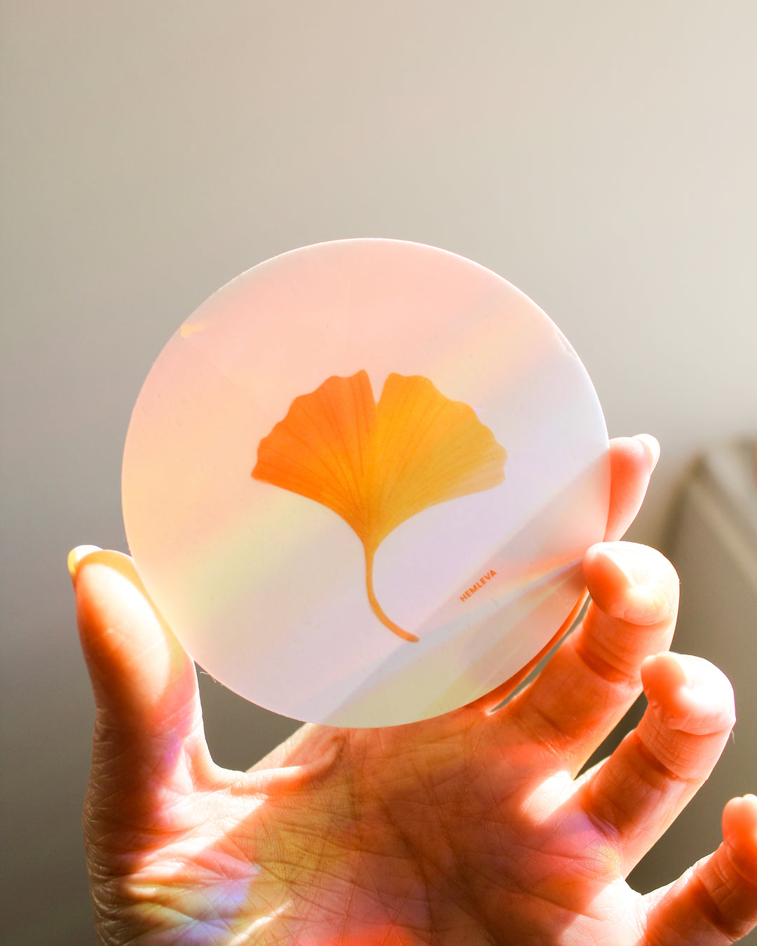 Ginkgo Suncatcher • Card Insert Sized