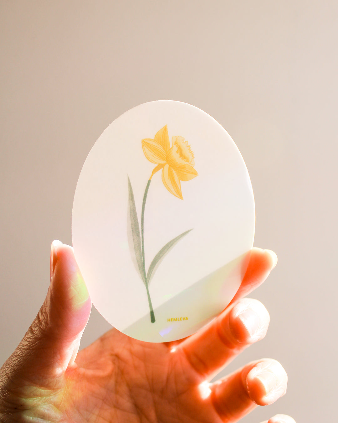 Daffodil Suncatcher • Card Insert Sized