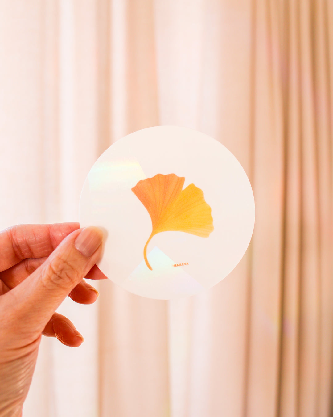 Ginkgo Suncatcher • Card Insert Sized