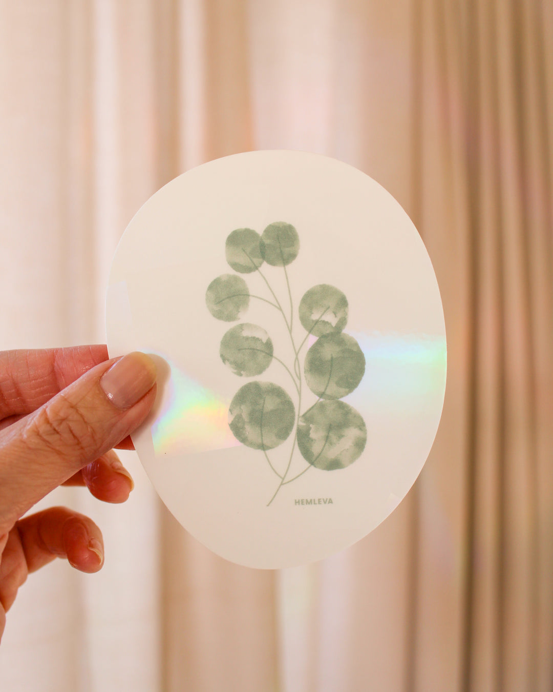 Eucalyptus Suncatcher • Medium Sized