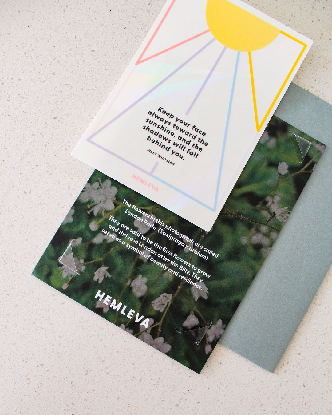 Sunshine • Walt Whitman Suncatcher Greeting Card • Medium Sized