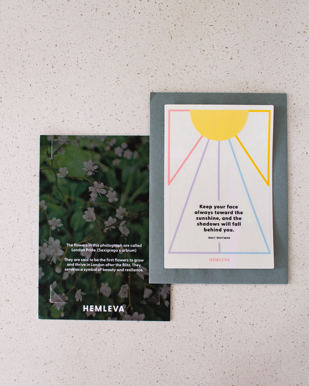 Sunshine • Walt Whitman Suncatcher Greeting Card • Medium Sized