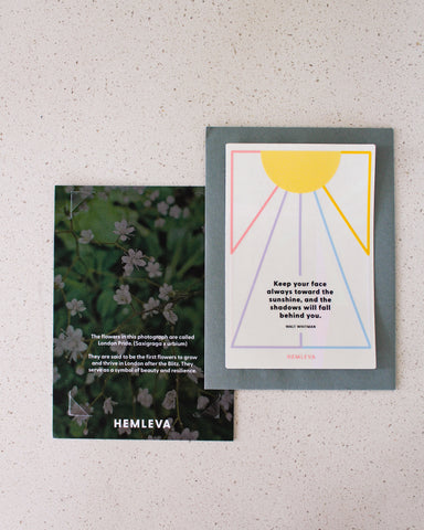 Sunshine • Walt Whitman Suncatcher Greeting Card