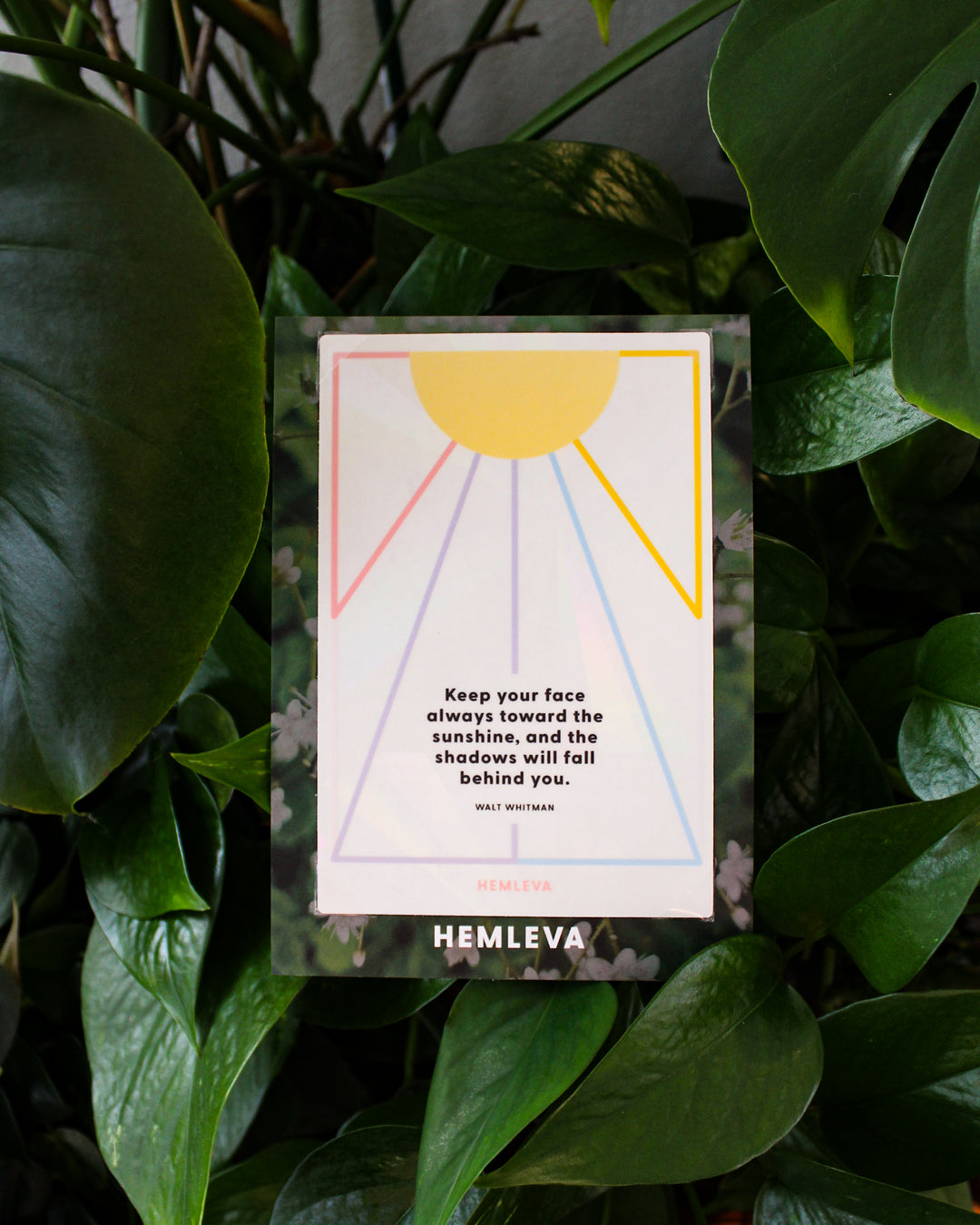 Sunshine • Walt Whitman Suncatcher Greeting Card • Medium Sized