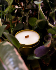 Candle • Grounded • Hinoki + Eucalyptus