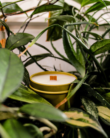 Candle • Grounded • Hinoki + Eucalyptus