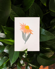 Coneflower • Echinacea • Risograph Print