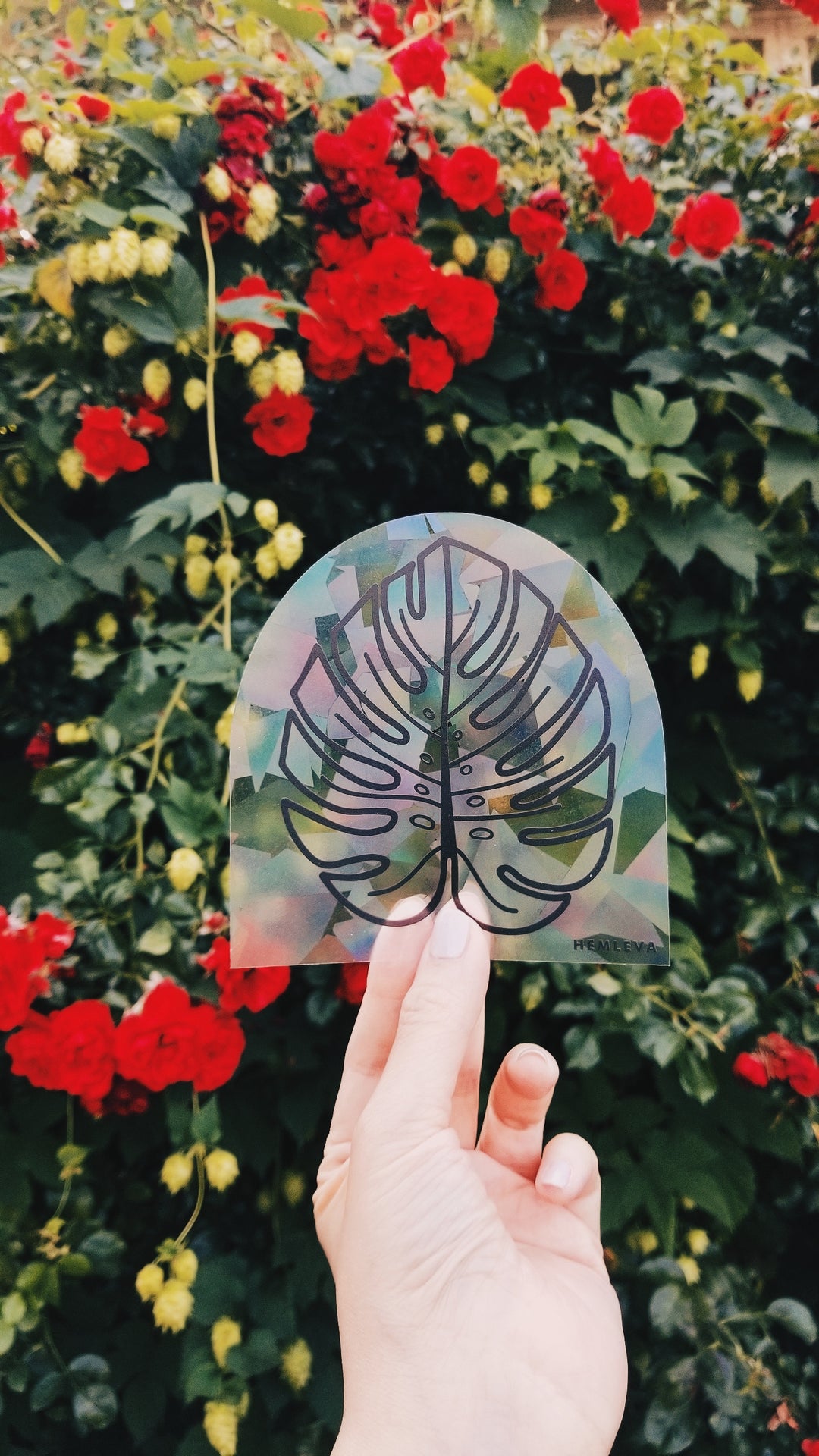 Monstera Suncatcher • Medium Sized