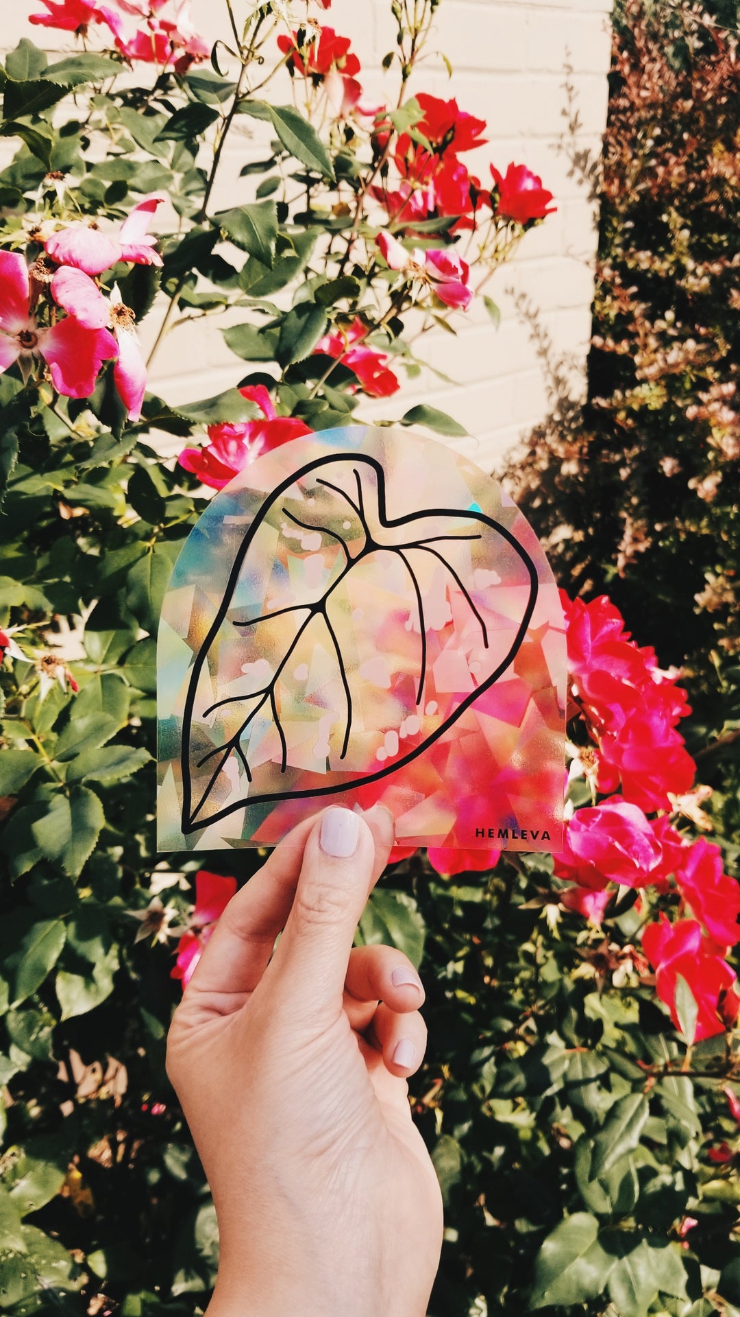 Caladium Suncatcher • Medium Sized