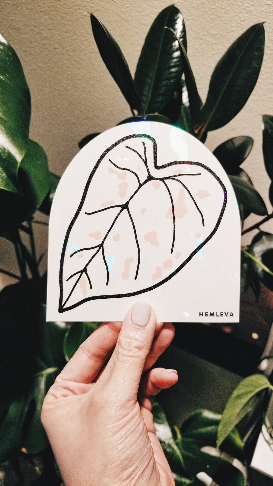 Caladium Suncatcher • Medium Sized