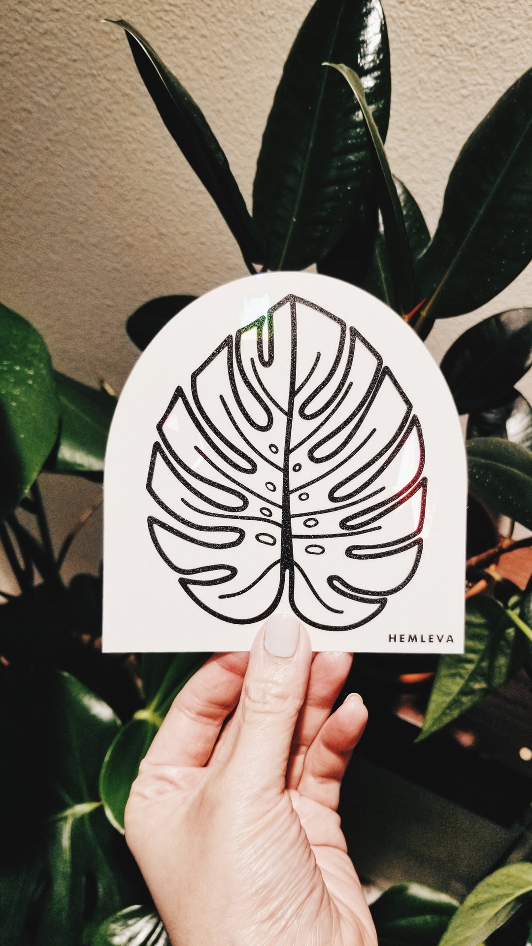 Monstera Suncatcher • Medium Sized