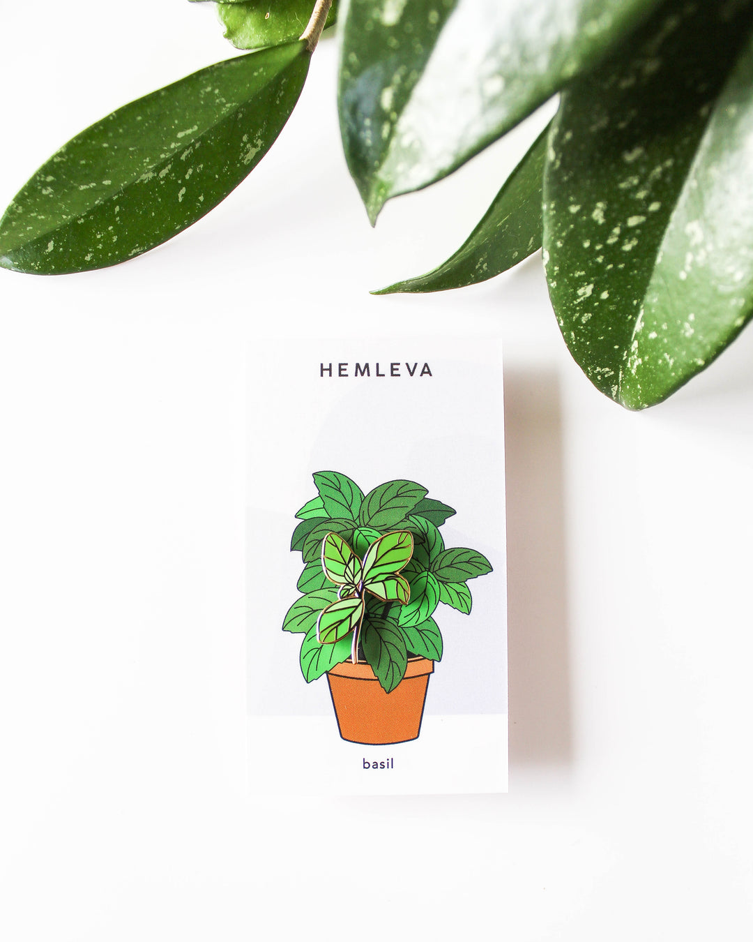 Basil