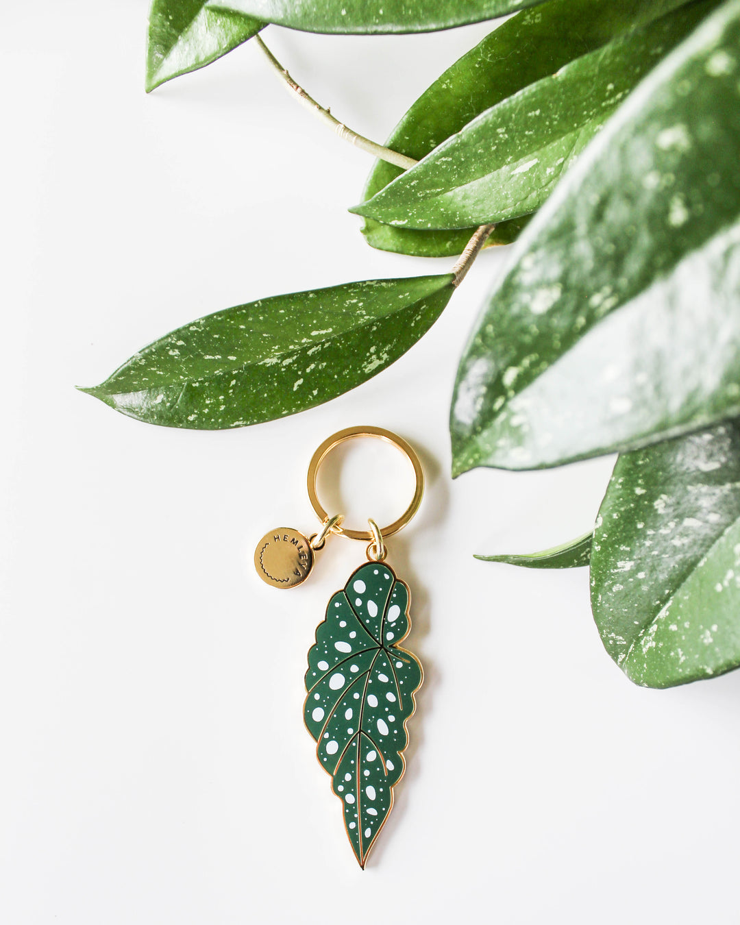 Begonia Maculata • Keychain