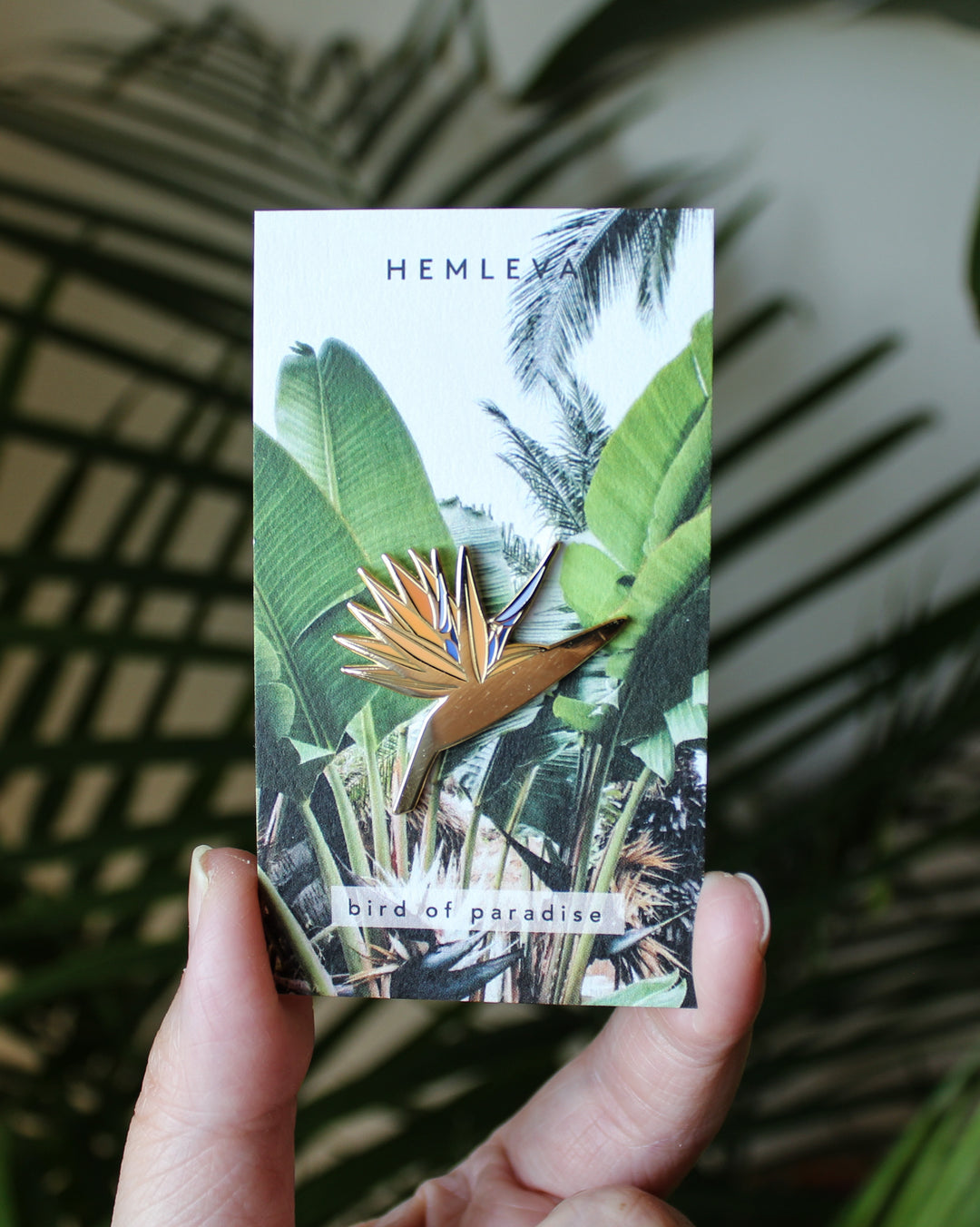 Bird of Paradise – HEMLEVA