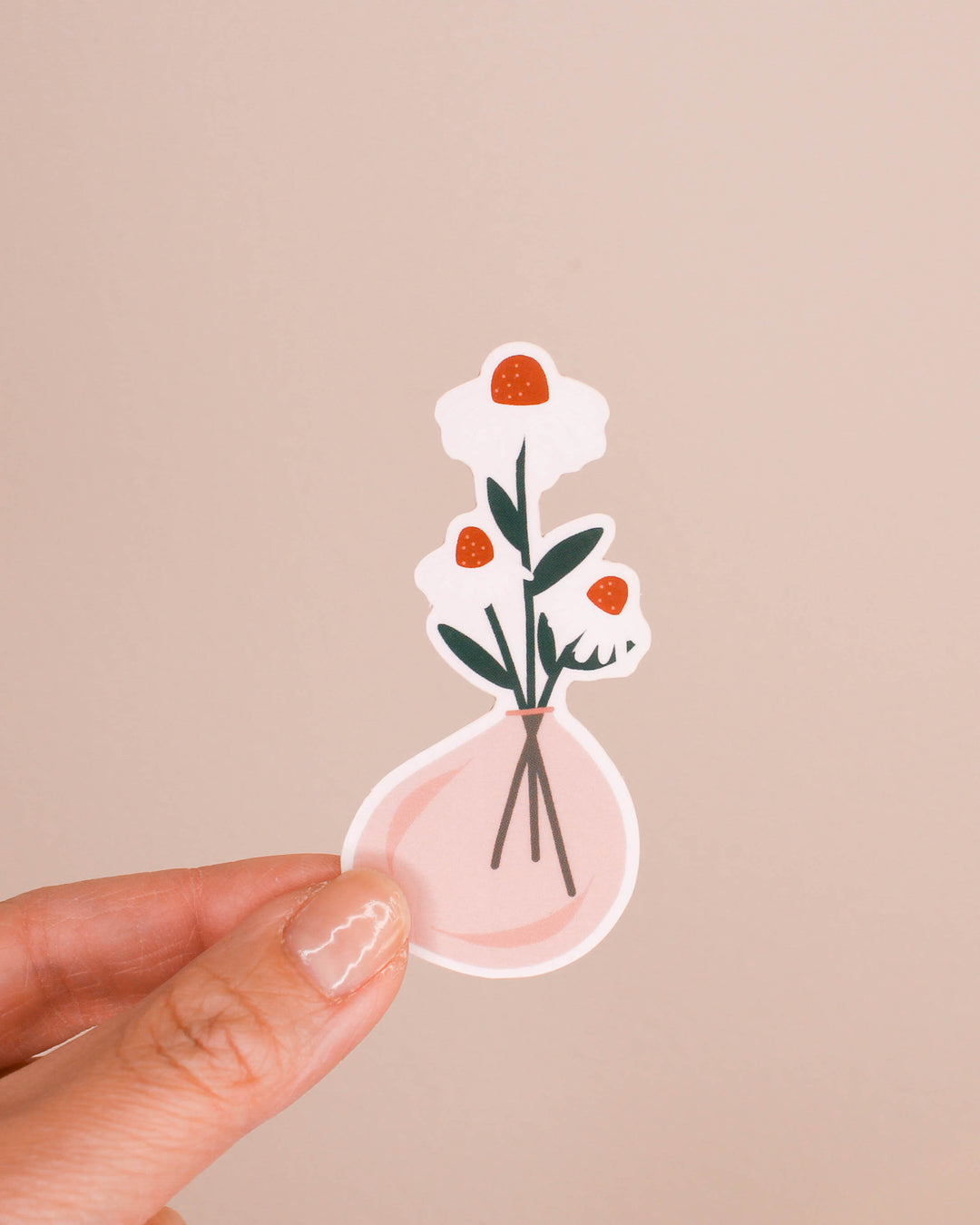 Echinacea • Sticker