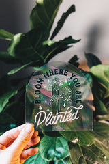 Bloom Where You Are Planted • Suncatcher